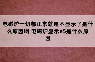 电磁炉一切都正常就是不显示了是什么原因啊 电磁炉显示e5是什么原因